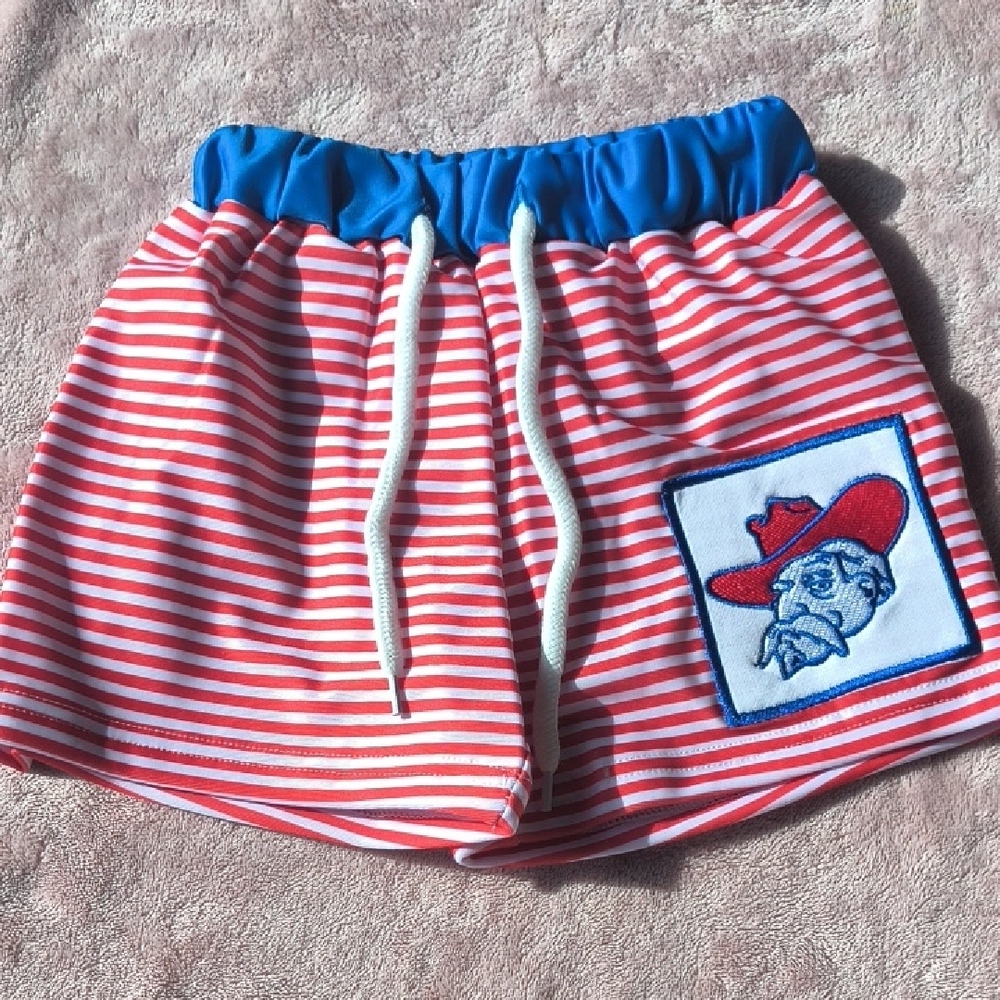 Red and Blue Striped Shorts with Patch